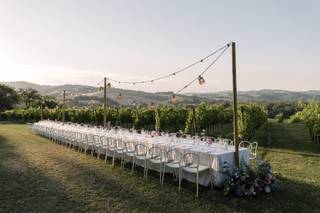Mavi Flower Lab - 4
