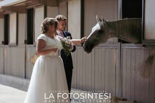 La fotosintesi - 5