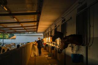 Bosco de' Medici Wine Resort - 22