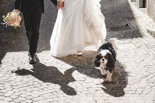 Enrico Caprio Photography - 5