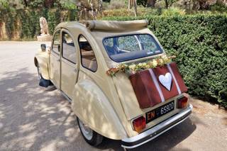 Trinacria Wedding Car - 20