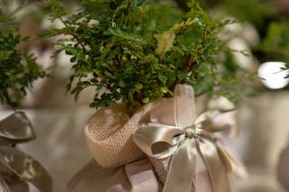 Centro Bonsai Iodice - 9