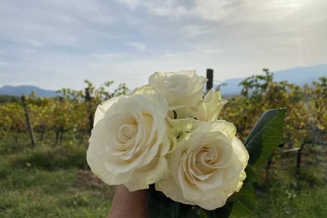 Vallantica Resort & Spa 5