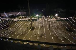 The Lighting & Sound - 7