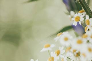 Tramontina studio - 8