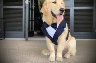 Maria Dog & Love Sitter - 16