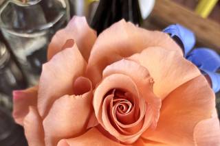 Eleonora Parrini - 6