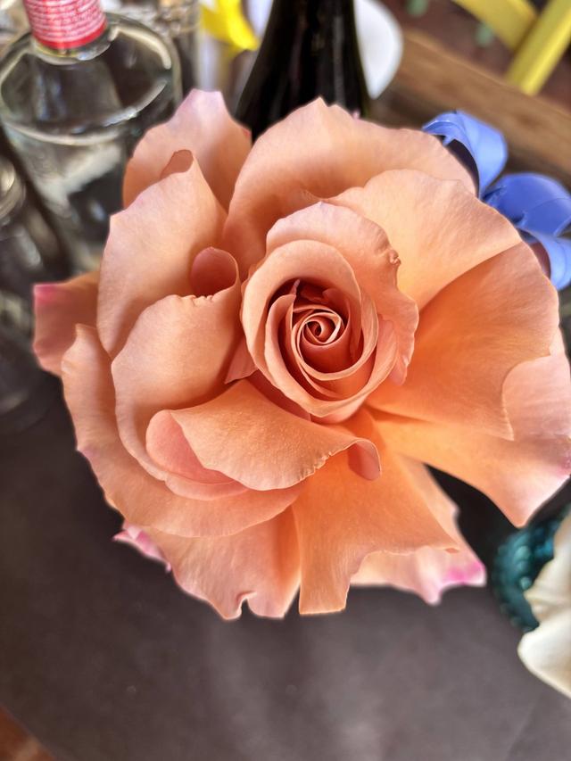 Eleonora Parrini - 1