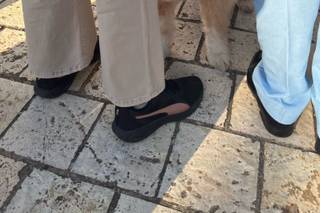 Laura Laporta - Wedding Dog Sitter - 15