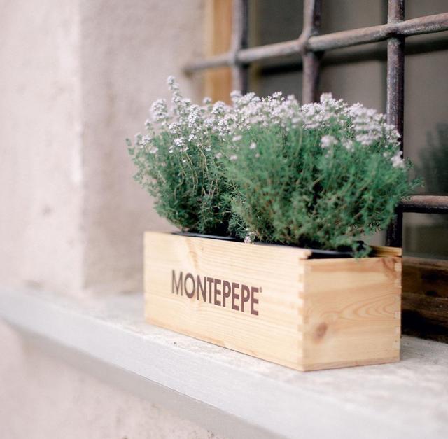 Relais Montepepe Winery & Spa - 1