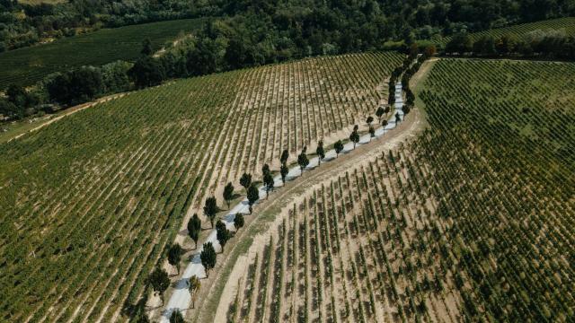 Broglia Tenuta La Meirana - 1