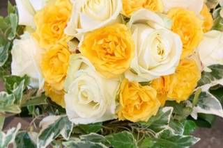 Raggio di Fiore - 5