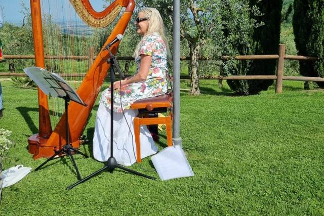 Antonella Natangelo Harp 3
