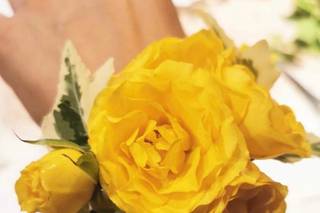 Raggio di Fiore - 6