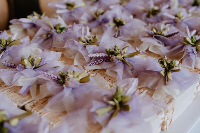 Coop Raggio Verde ONLUS - 1