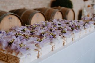 Coop Raggio Verde ONLUS - 6