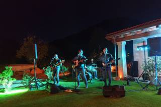 Cavalli Acoustic Quartet - 8