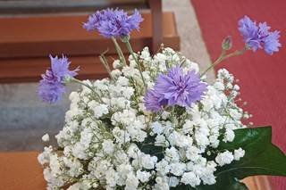 Fioreria Michela Fiori - 6