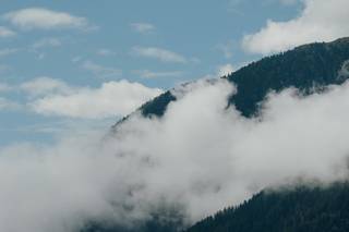 Our Seasons Photography - 5