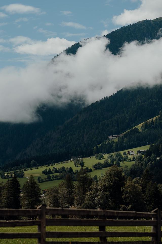 Our Seasons Photography - 2