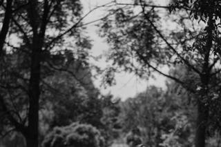 Riscatto Fotografico - 7