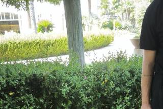 Wedding Dog Sitter - 5
