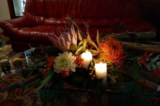 Garden Battistini - 24