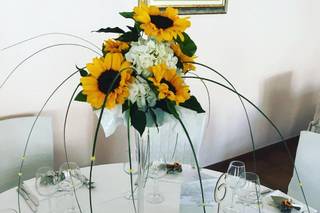 Butterfly Fiori - 17