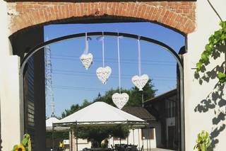 Butterfly Fiori - 18