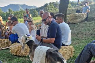 Oh my dog wedding - 19
