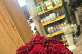 Florgarden di Barlascini Maurizio - 12