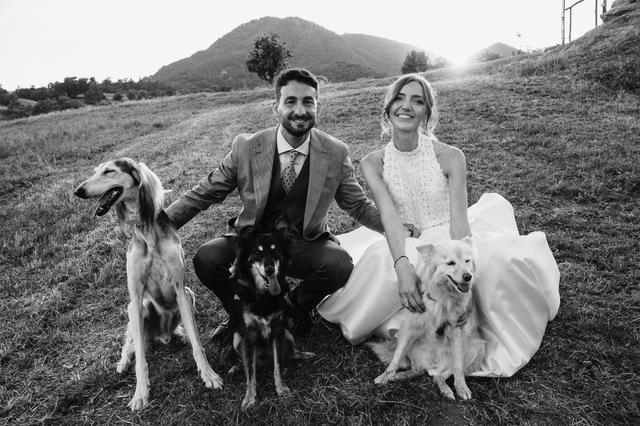 Oh my dog wedding - 3