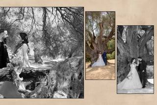 Digital Photonet di Saderi Daniela - 11