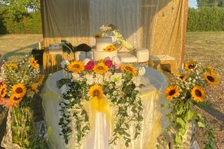 Villa Baldi Sassoli - 6