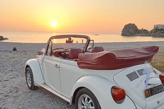 Maggiolino Frank - 6