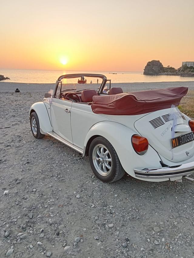 Maggiolino Frank - 2