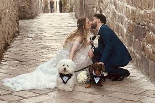 Maria Dog & Love Sitter - 11