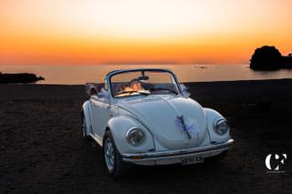 Maggiolino Frank - 7