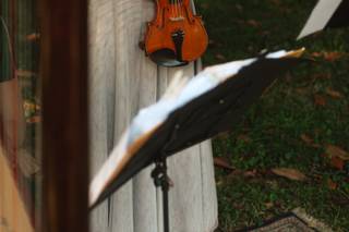 Giovanna Nespolo - 7