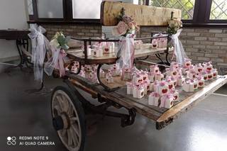 Fondazione Theodora Onlus - 1