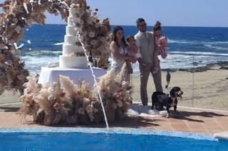 Fiore e Più - Di Aramu M&A - 17