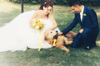 Silvia Wedding Dog Sitter - 13