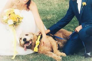 Silvia Wedding Dog Sitter - 14