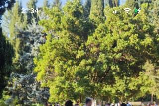 Opposti Perfetti - Maggiolini per Eventi - 23