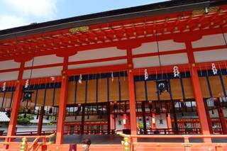 MalanubiAcademy Honeymoon & Tailormade - 6