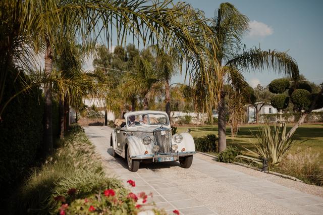 AF Photographers - 4