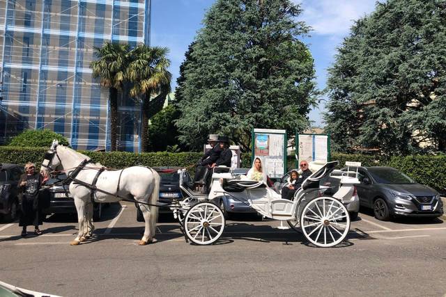 Carrozze Franchini 1