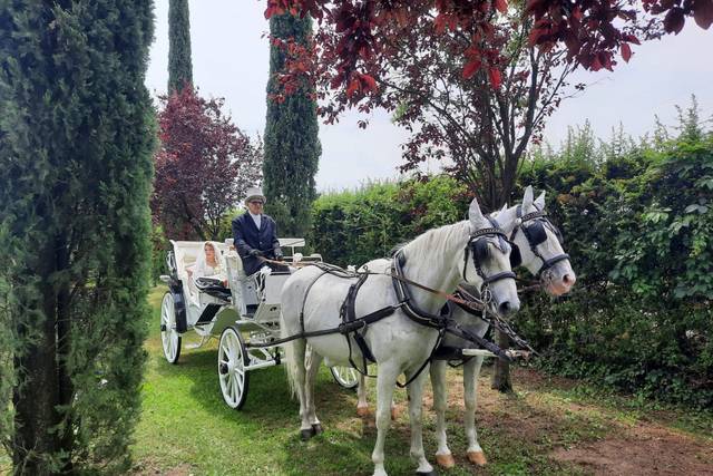 Carrozze Franchini 2