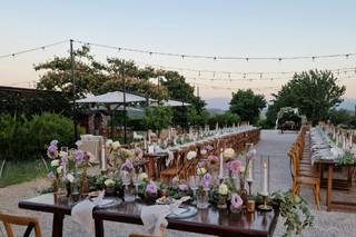 Carolina Floral Designer - 28