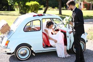 The Wedding Beetle - 13